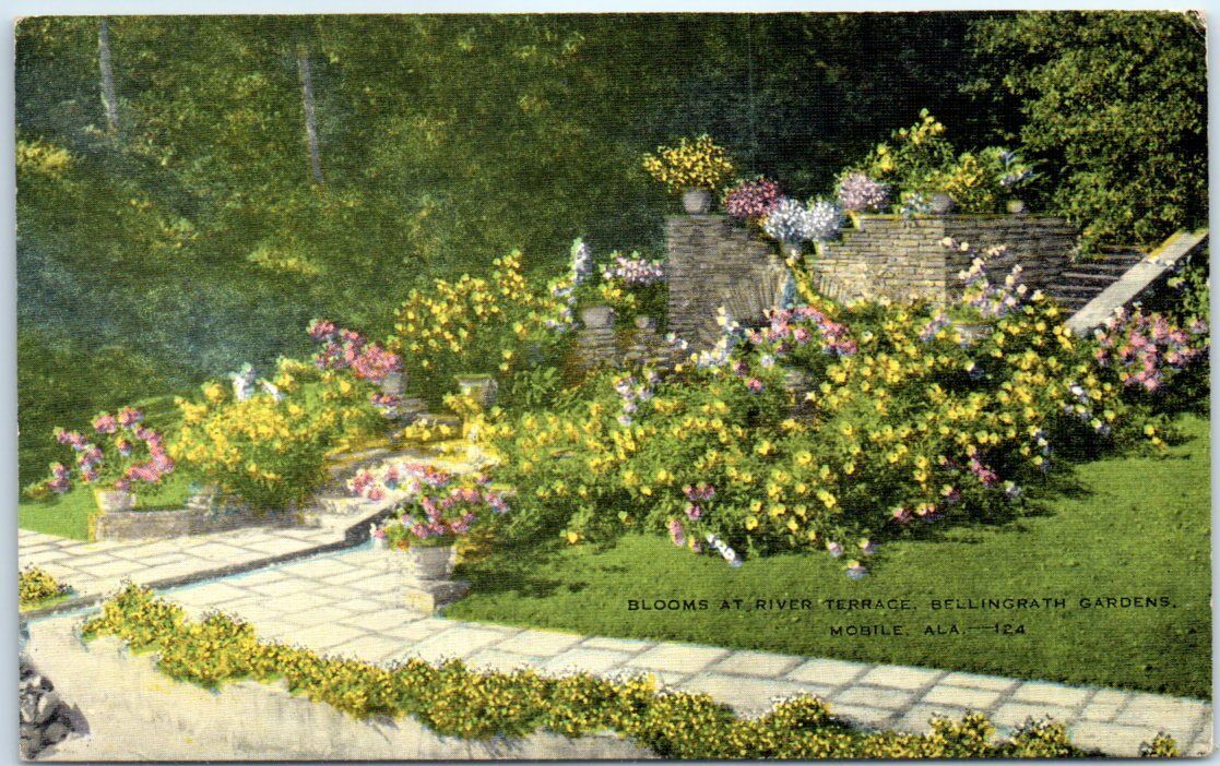 Postcard - Blooms At River Terrace, Bellingrath Gardens - Mobile, Alabama
