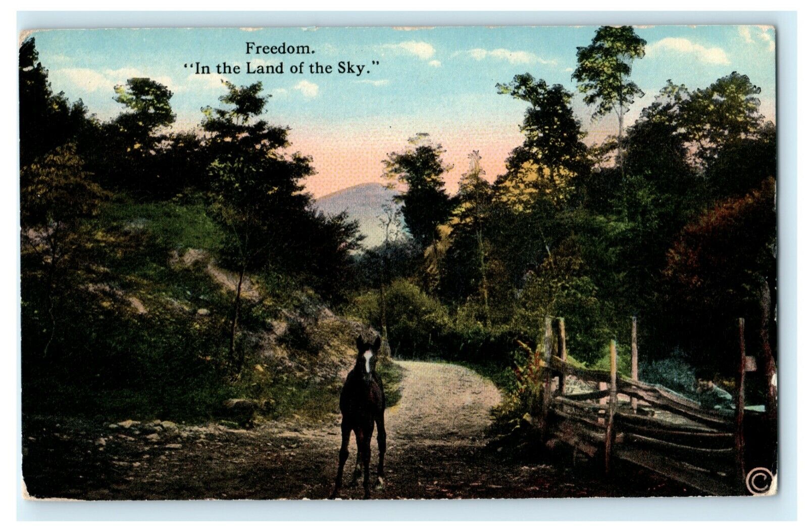 Freedom In the Land of the Sky Horse Pastoral Photochrom Vintage Postcard