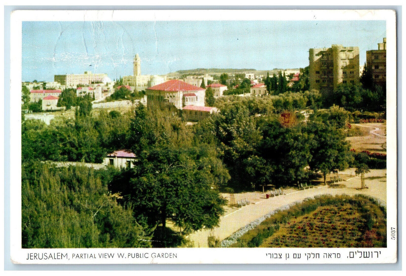 c1950\'s Partial View W. Public Garden Jerusalem Palestine Vintage Postcard