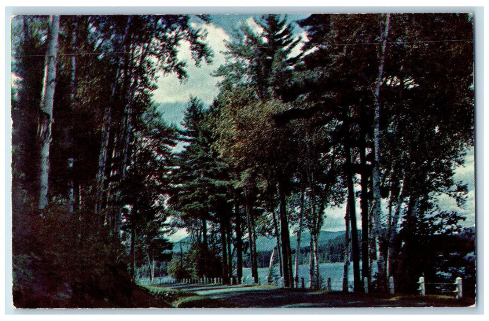 c1960\'s In The Adirondack Mountains, The East Shore of Schroon Lake NY Postcard
