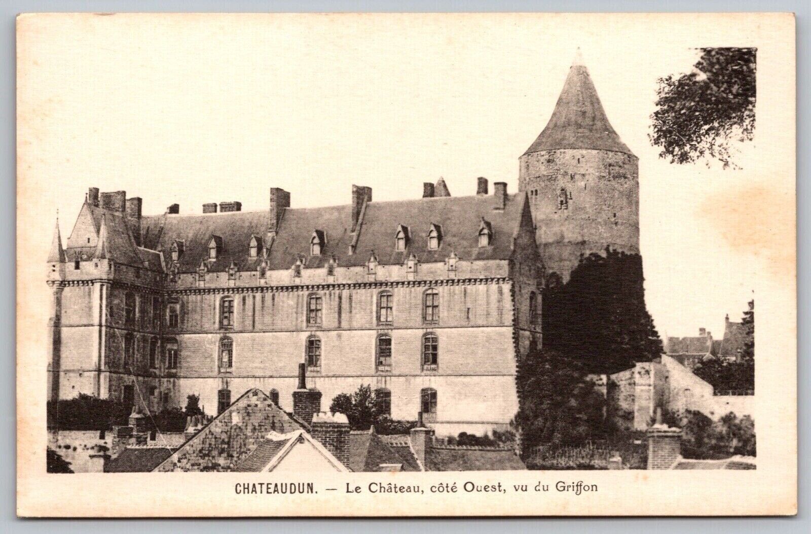 Chateaudun Le Chateau Cote Ouest Vu Du Griffon Mansion Historic Vintage Postcard