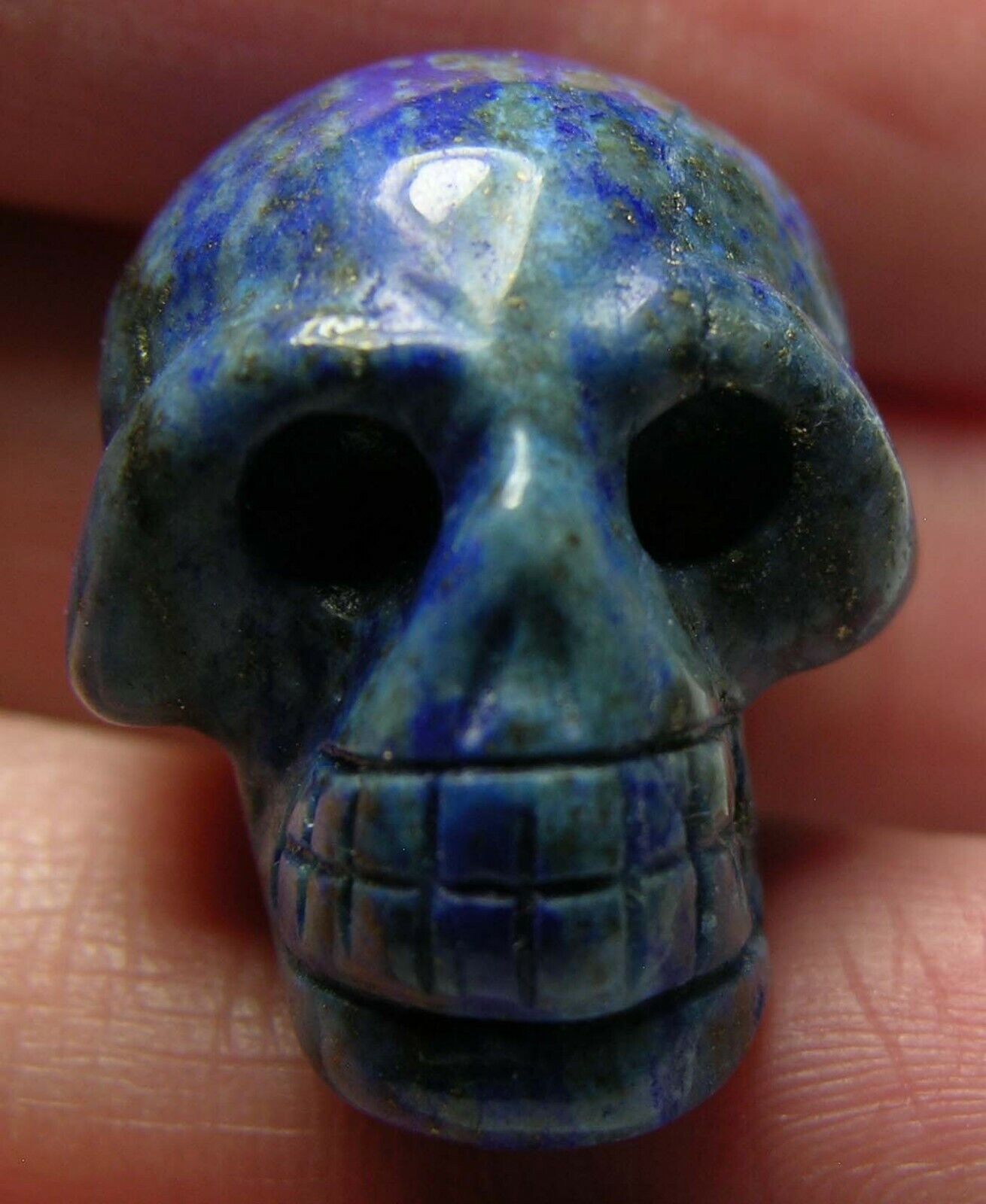 #15 Afghanistan 63.85ct 100% Natural Lapis Lazuli Skull Carving 12.75g 25.00mm