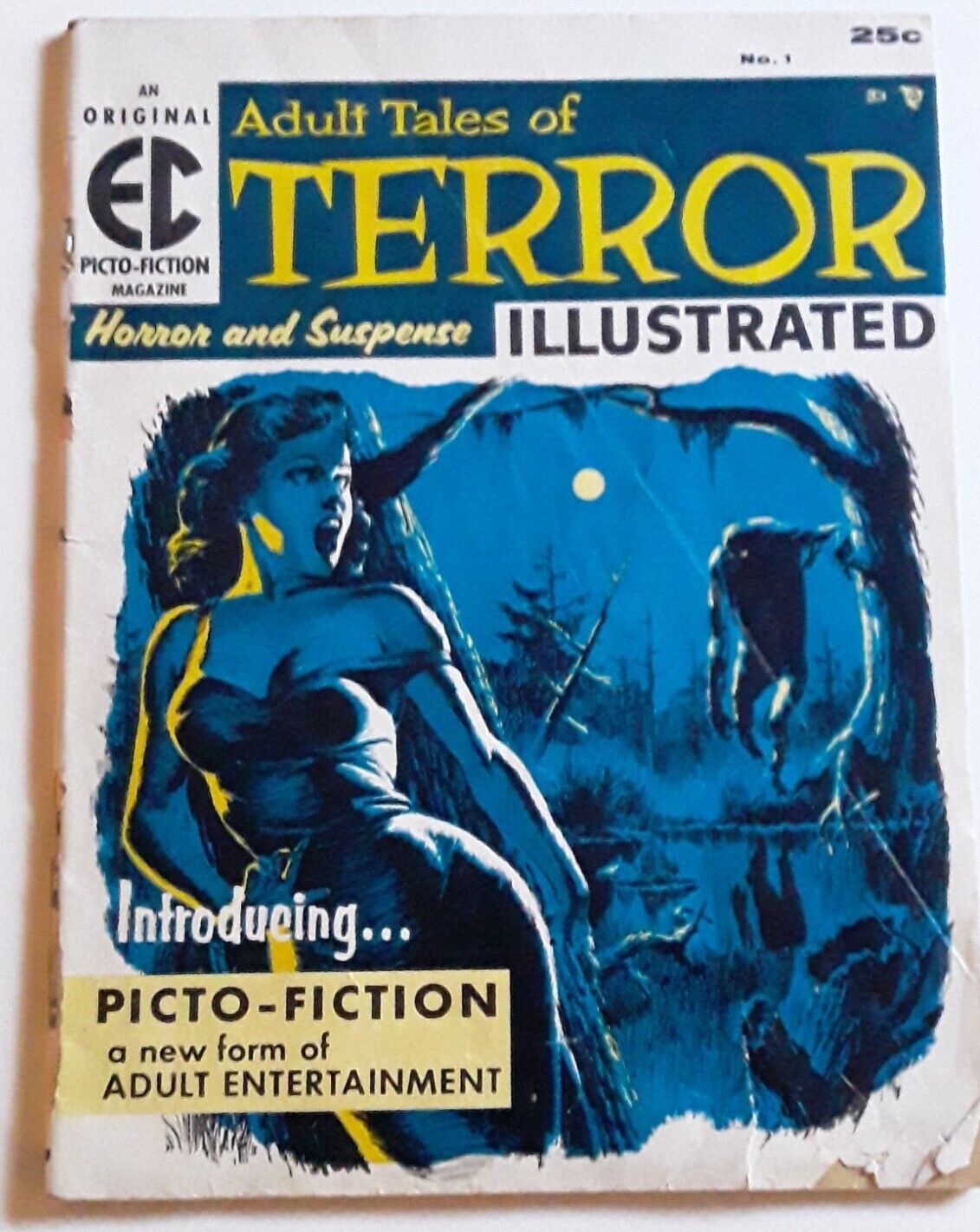 Terror Illustrated #1 April 1956  EC Picto-Fiction Magazine Low Grade 