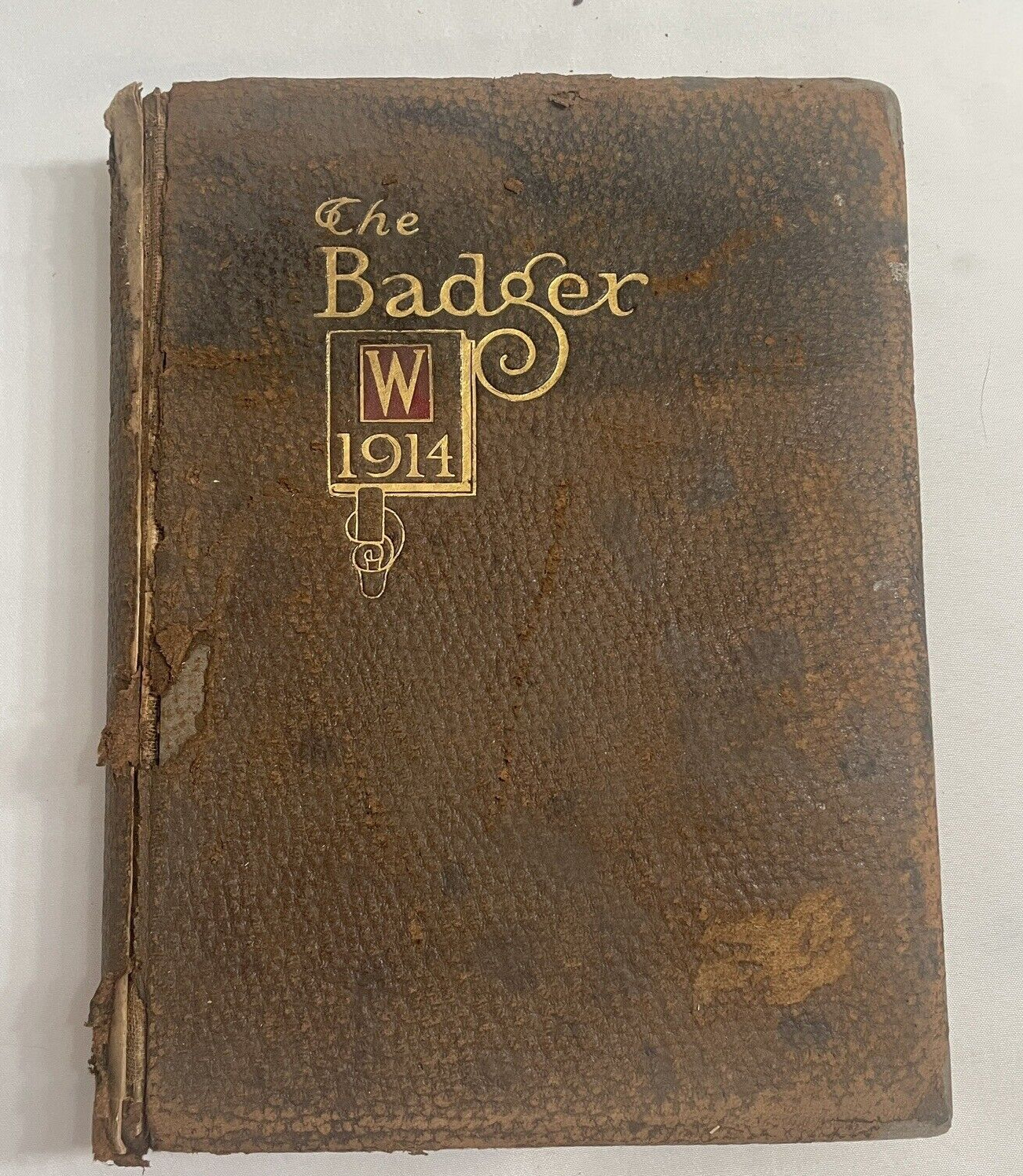 BADGER UNIVERSITY OF WISCONSIN 1914 COLLEGE YEARBOOK ANTIQUE