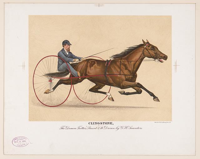 Photo:Clingstone, Horse Racing
