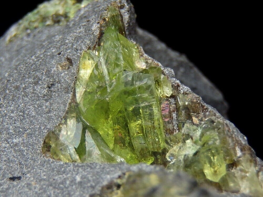 OLIVINE - FORSTERITE PERIDOT xenolite in basalt  USA Arizona - San Carlos /pi869