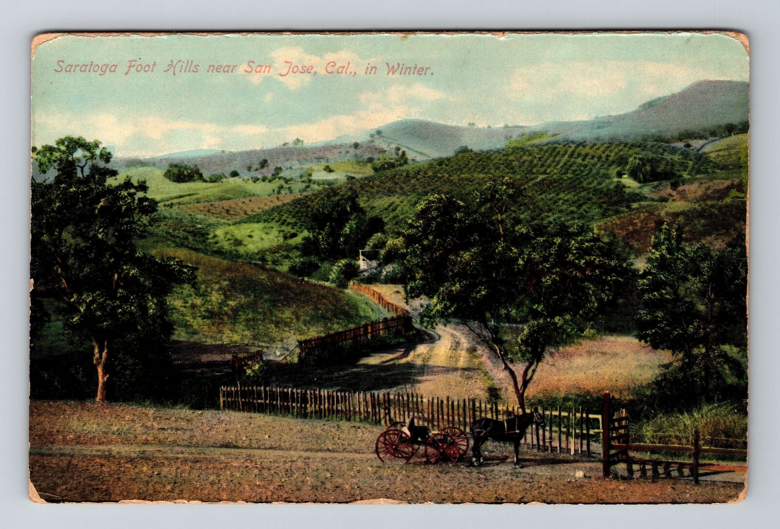 San Jose CA-California, Saratoga Foot Hills, Antique Vintage Souvenir Postcard
