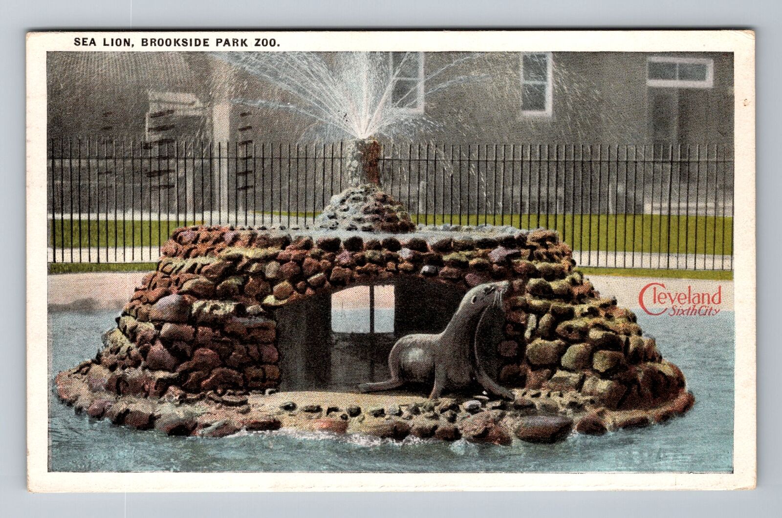 Cleveland OH-Ohio, Brookside Park, Sea Lions, c1920 Antique Vintage Postcard
