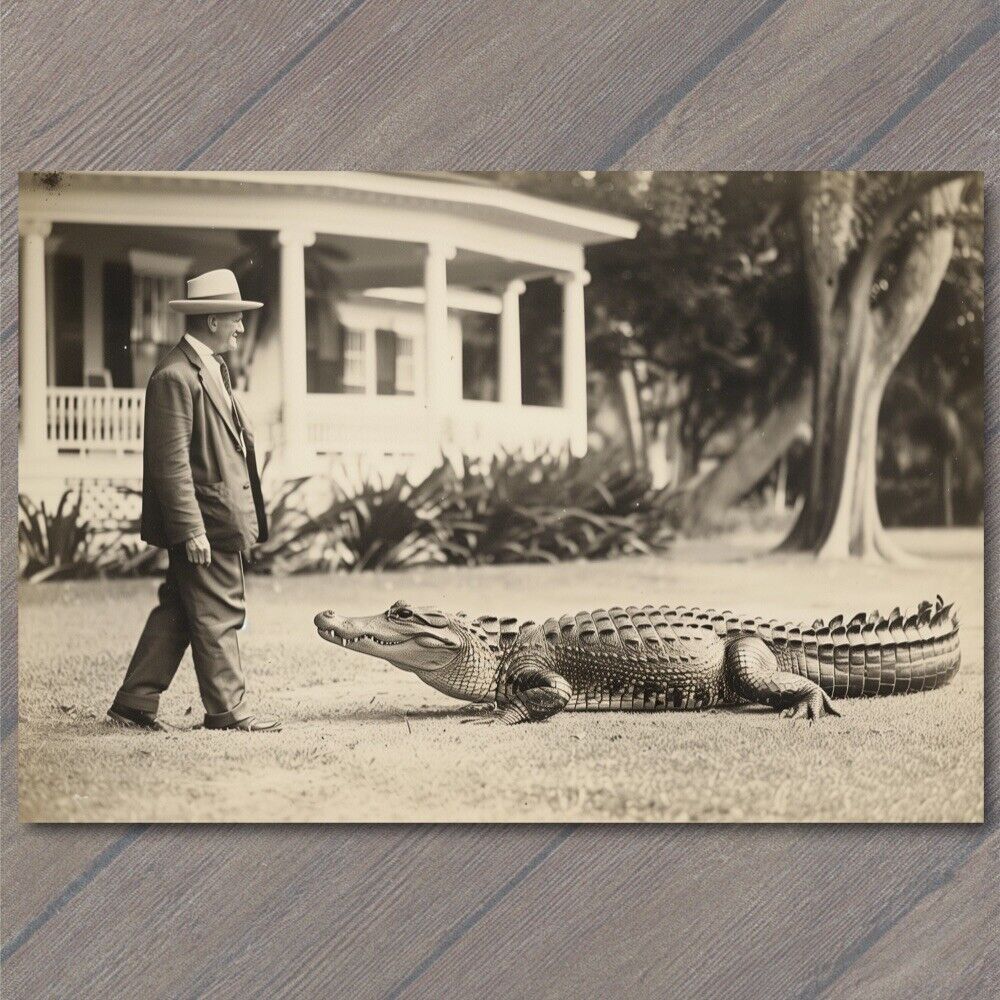 POSTCARD Alligator Old Fashioned Retro Florida Gator Strange Man Weird House