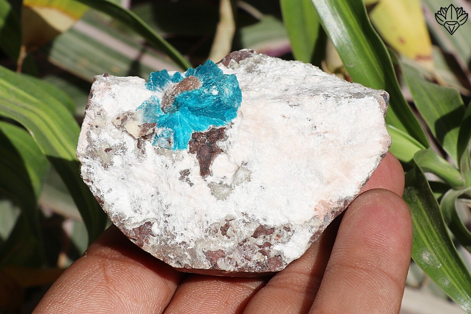 Natural Cavansite Crystal On Matrix Minerals Specimen 90 gm Beautiful Cavansite