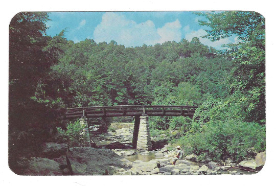 Vintage West Virginia Chrome Postcard Glade Creek Babcock State Park Fayette
