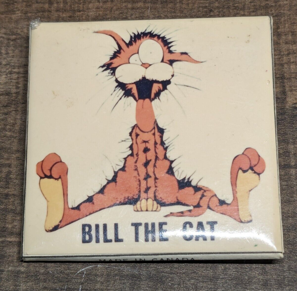 Bill the Cat Bloom County Berke Breathed Button 2