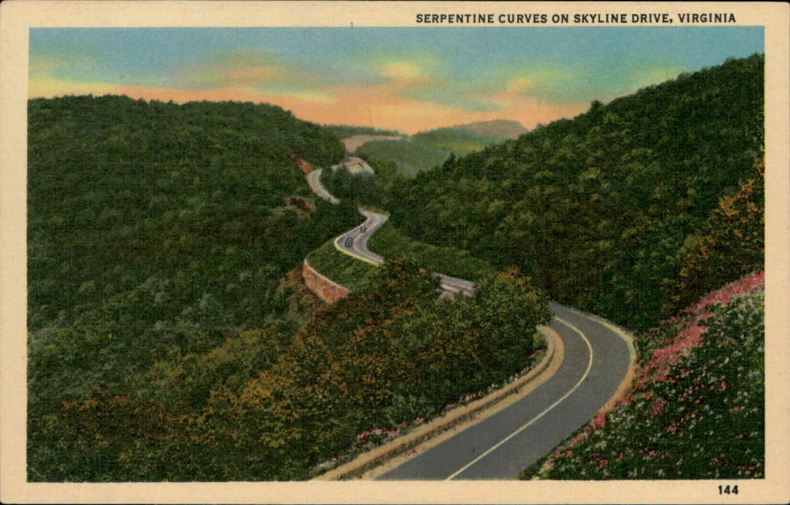 Postcard: SERPENTINE CURVES ON SKYLINE DRIVE, VIRGINIA 144