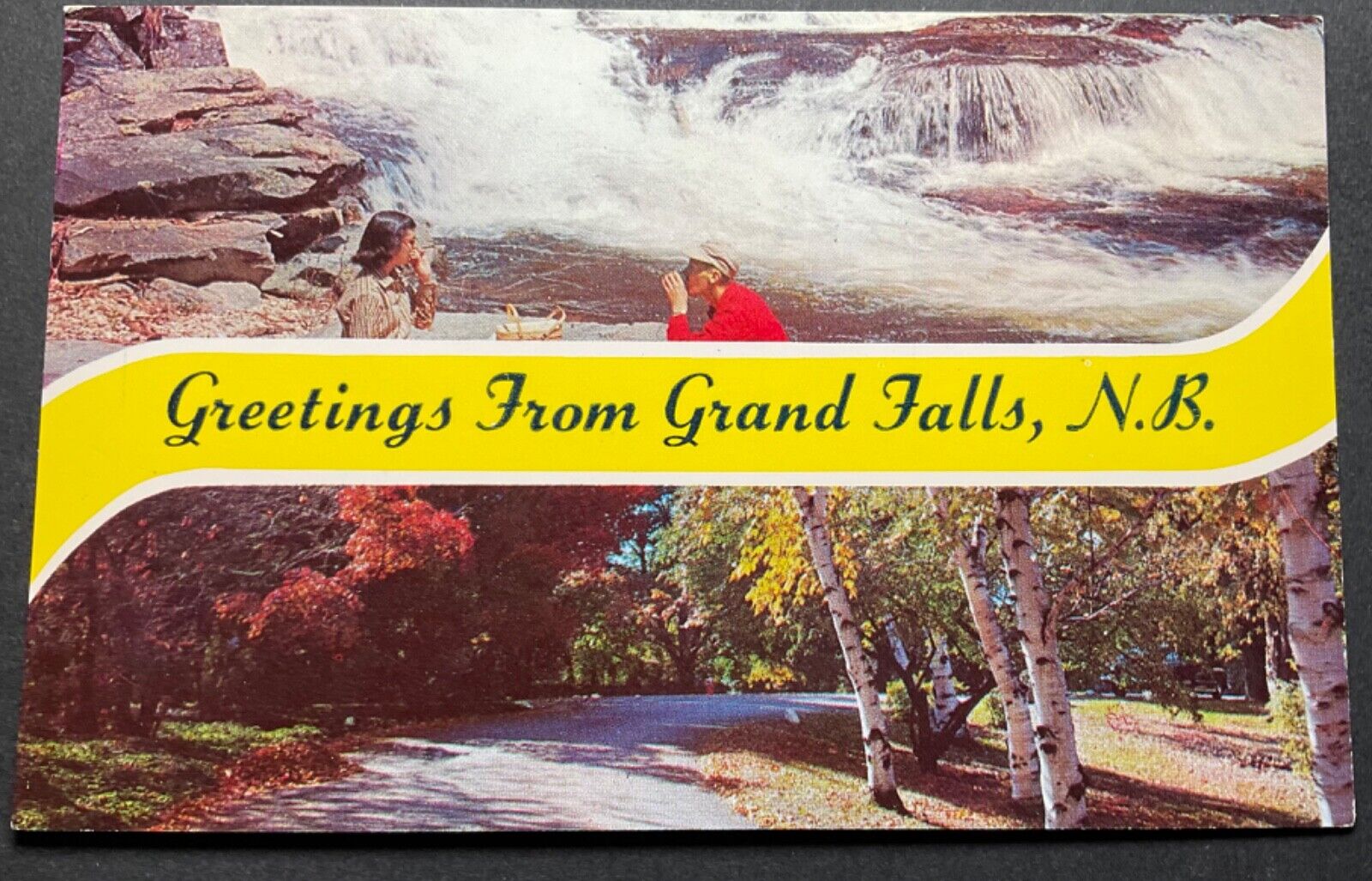 Canada Postcard Greetings From Grand Falls New Brunswick
