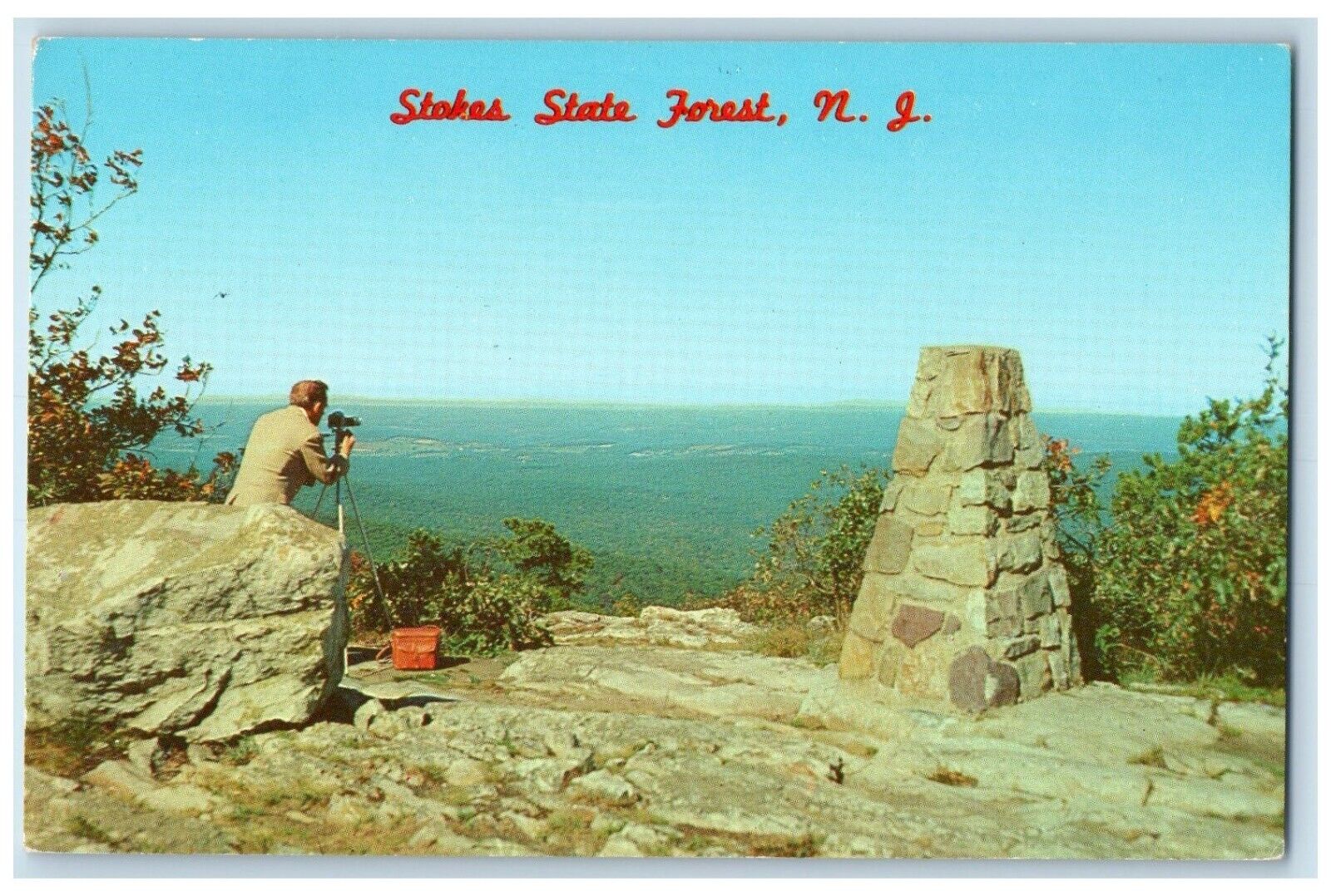 c1960 View Looking West Stokes State Forest New Jersey Antique Vintage Postcard