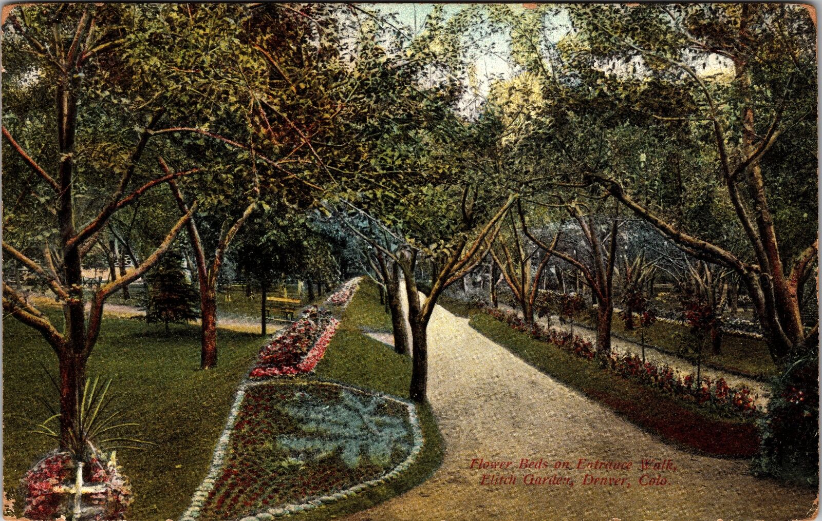 Denver CO-Colorado Flower Beds on Entrance Walk Elitch Garden Vintage Postcard