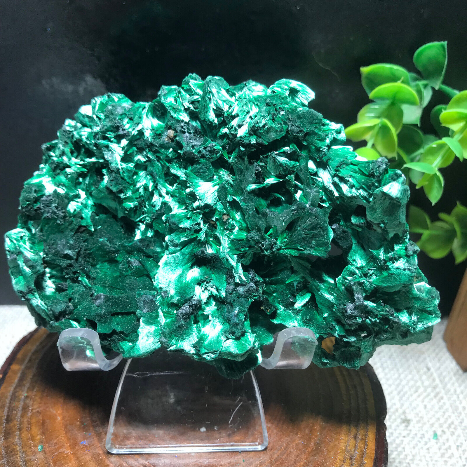 213g Natural Quality Rough Raw Malachite Crystal Mineral Specimen collection 02