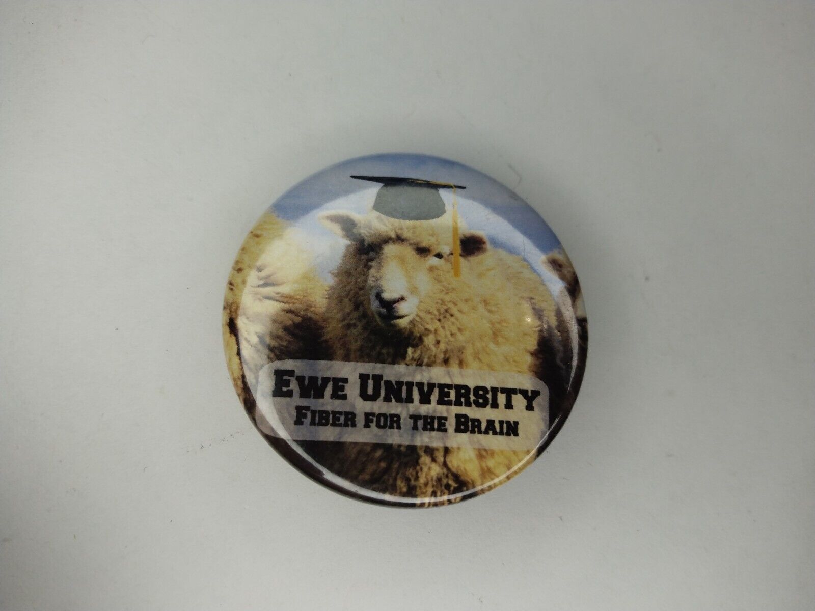 Ewe University Fiber For The Brain Pinback Button - Badge - Fibre - Funny Sheep