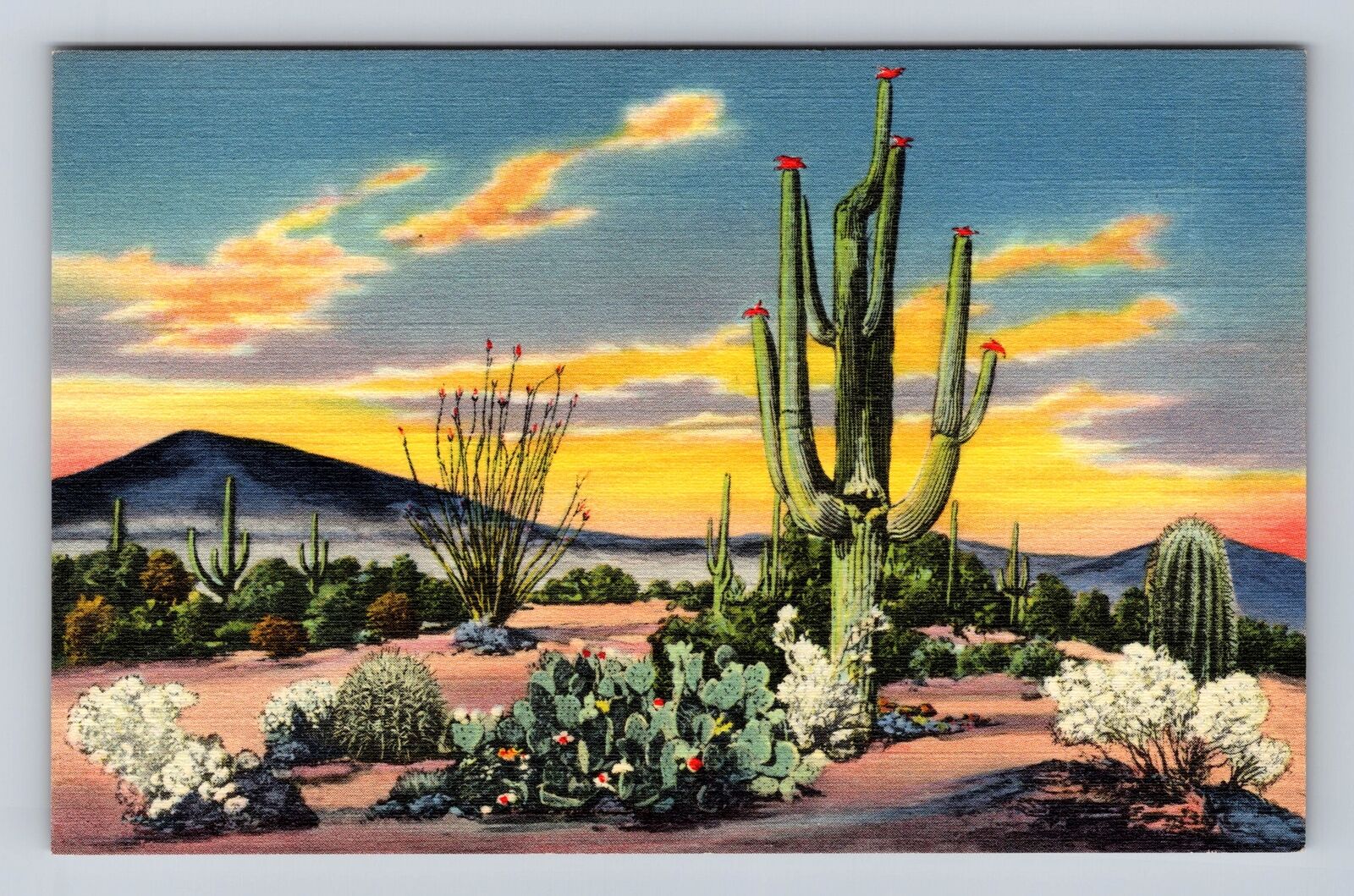 NM- New Mexico, Sunset On The Desert, Antique, Vintage Souvenir Postcard
