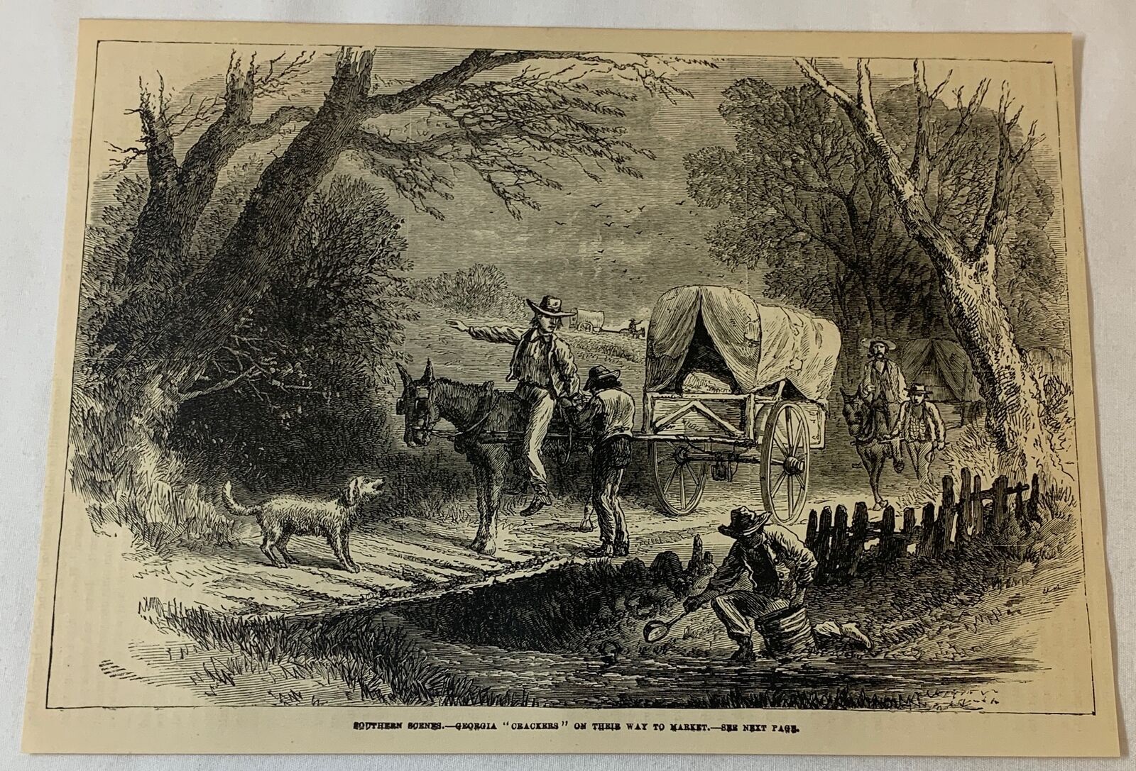 1876 magazine engraving~  GEORGIA 'CRACKERS' ON THEIR WAY TO MARKET