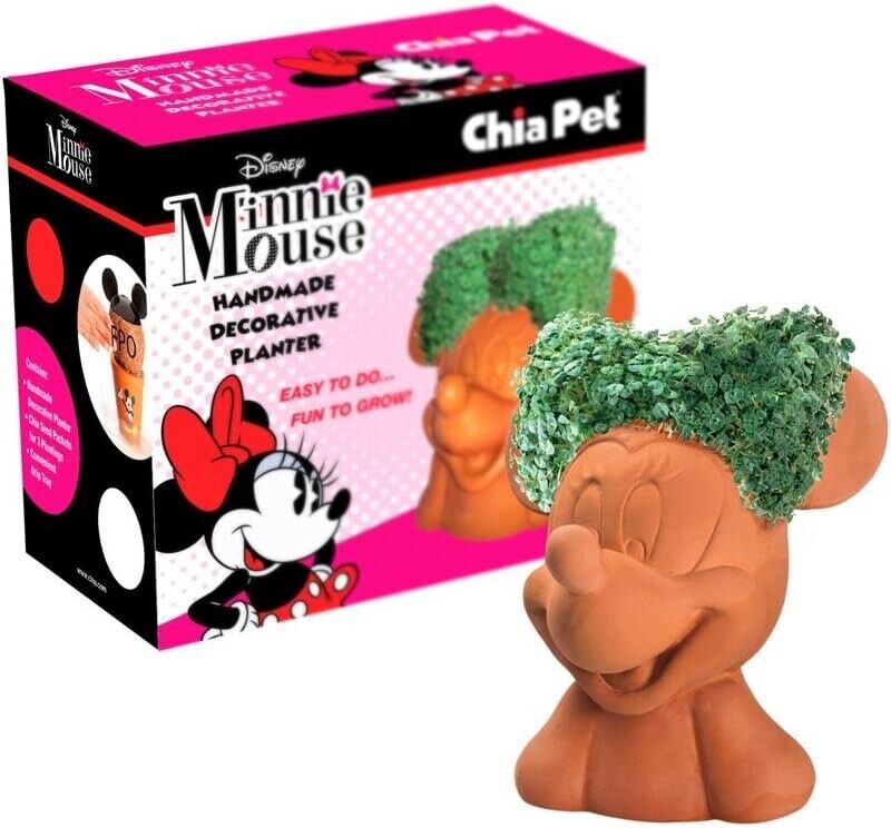 Disney Minnie Mouse Chia Pet Decorative Pottery Planter, New sealed box