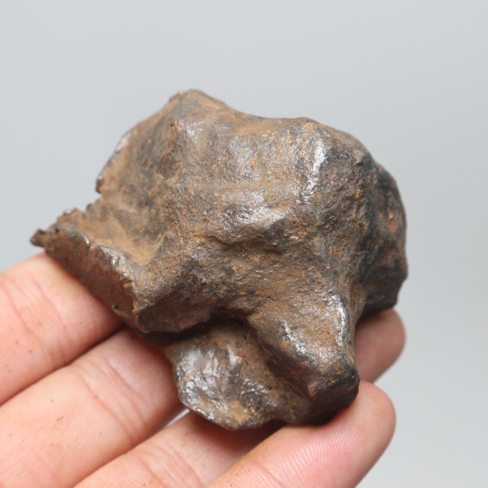 209g Gebel Kamil Iron Meteorite Space Gift A1603