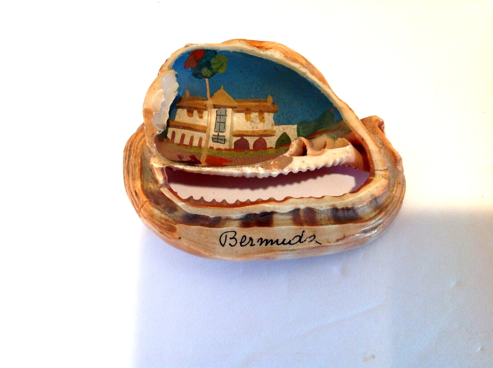 Vintage Conch Shell Handpainted Folk Art Bermuda