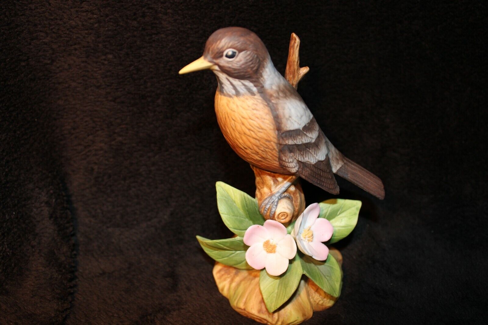 Beautiful Robin by Andrea perched on a branch with pink flowers make a Nice gift