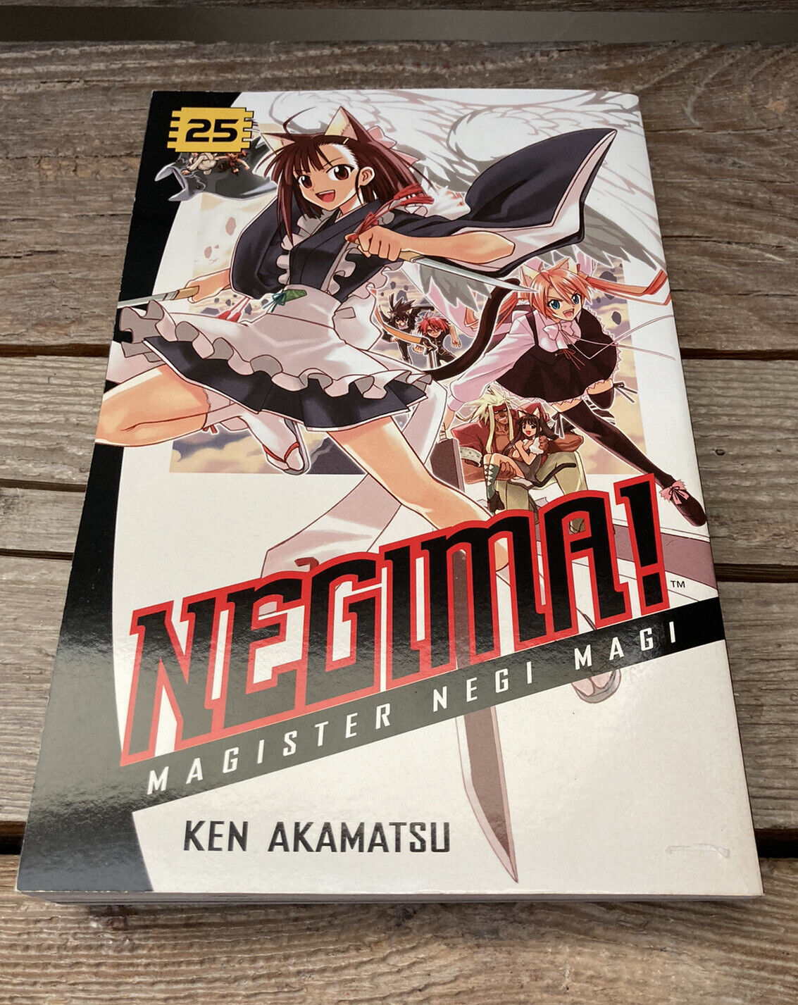 Negima Magister Negi Magi, Vol. 25 by Ken Akamatsu (paperback) Manga Anime