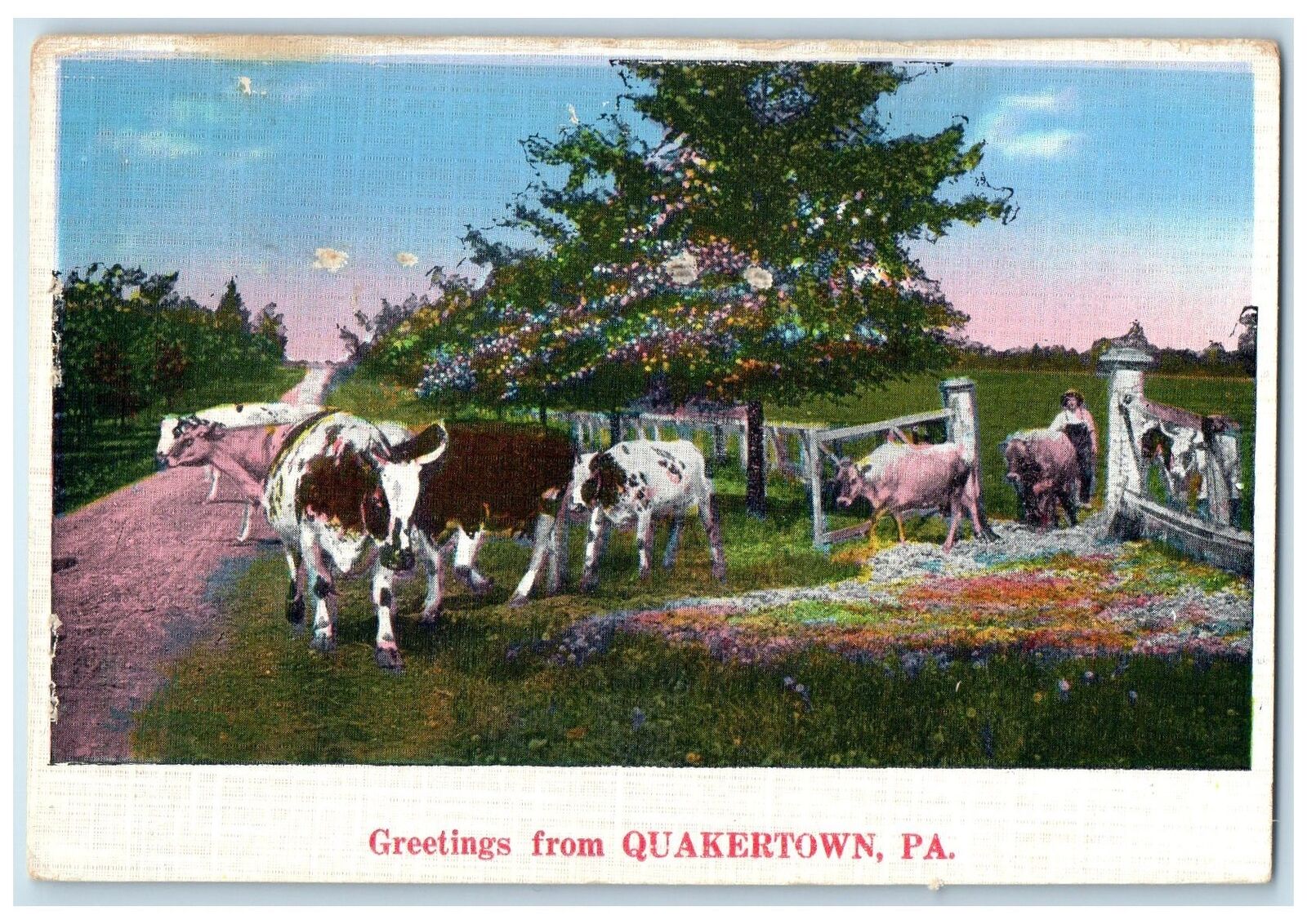 c1920's Greetings From Quakertown Group Of Cow On Fence Pennsylvania PA Postcard