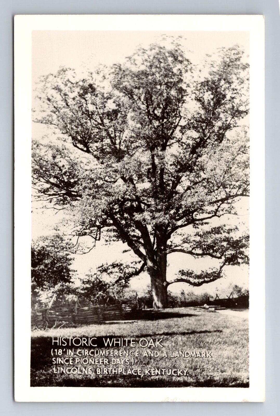 Lincoln's Birthplace KY-Kentucky RPPC, Historic White Oak, Vintage Postcard