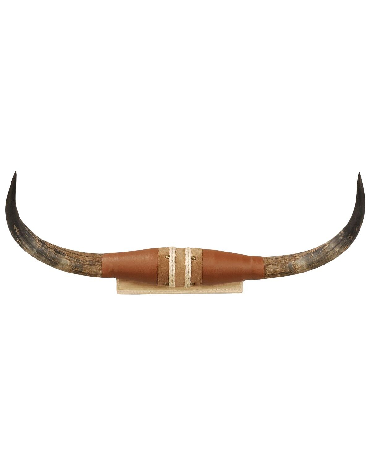 Authentic Small Steer Horns Tan