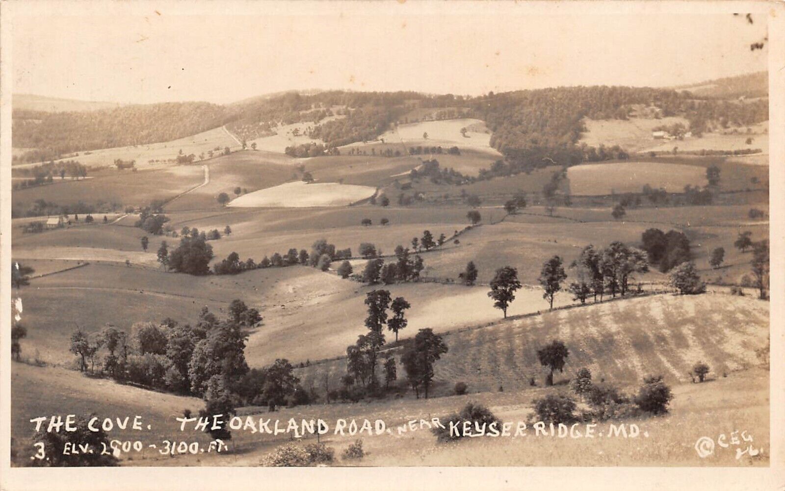 Postcard 1931 RPPC The Cove Oakland Road Near Keyser Ridge Maryland 5286