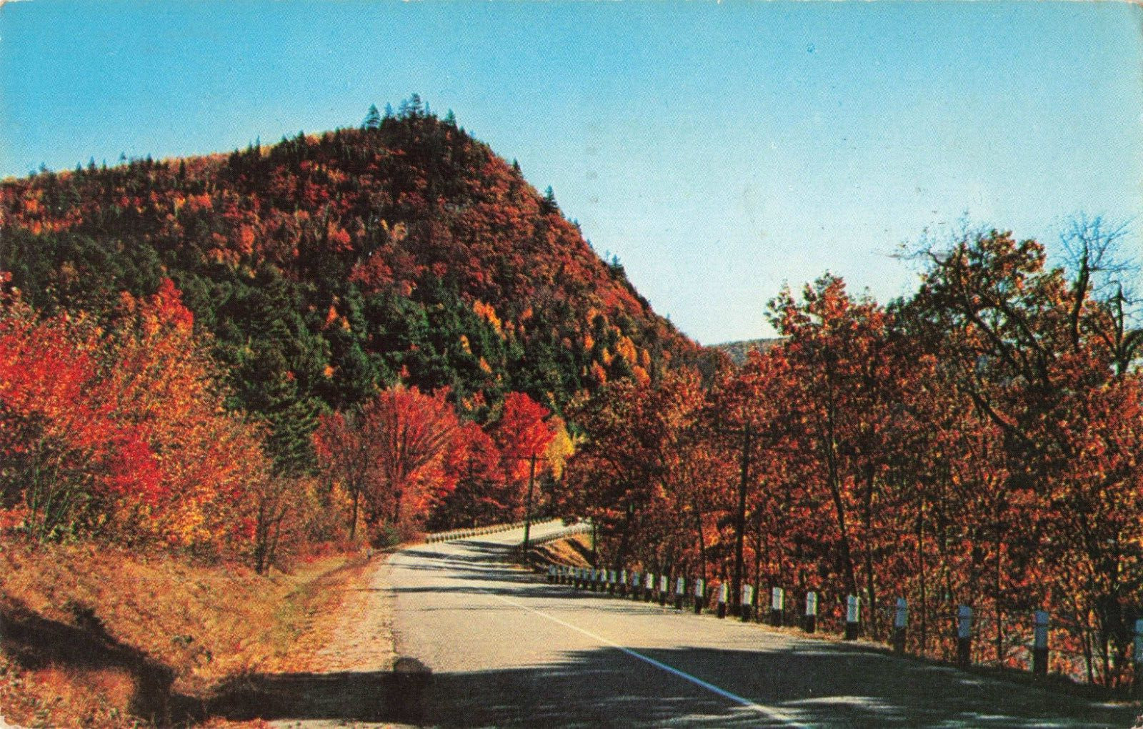 Bennington VT Vermont, Scenic Fall Foliage along Roadway, Vintage Postcard