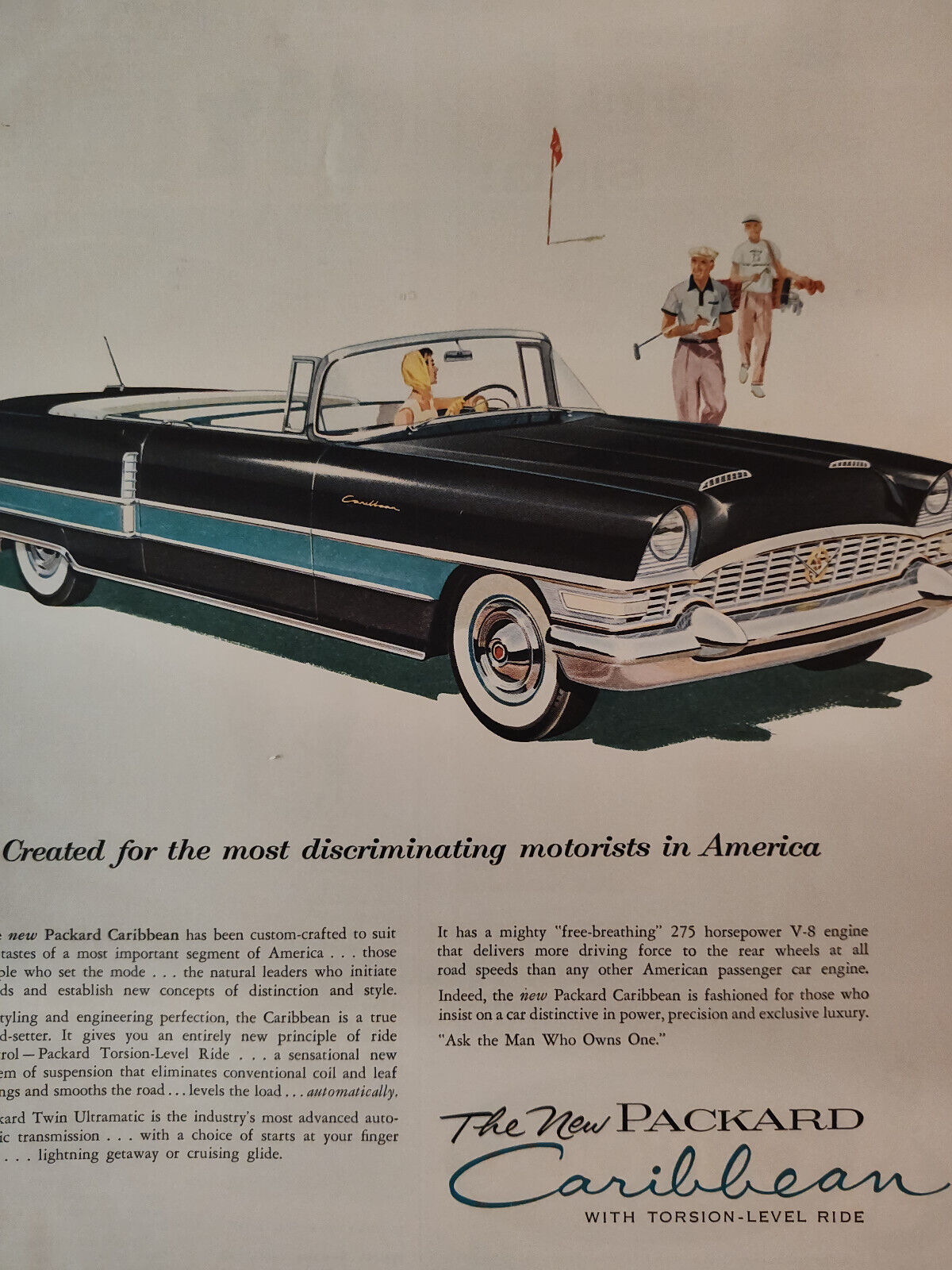 1955 Esquire Original Art Ad Advertisement New PACKARD Caribbean Automatic