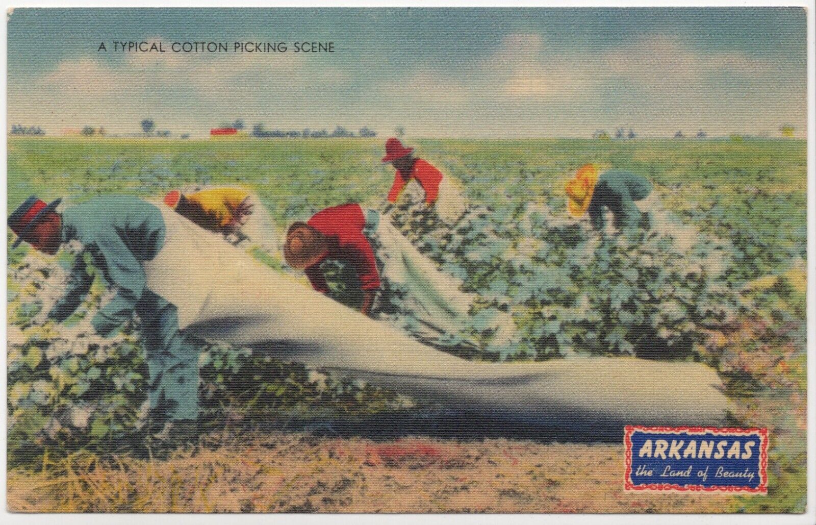 A Typical Cotton Picking Scene Arkansas Linen Unposted Postcard