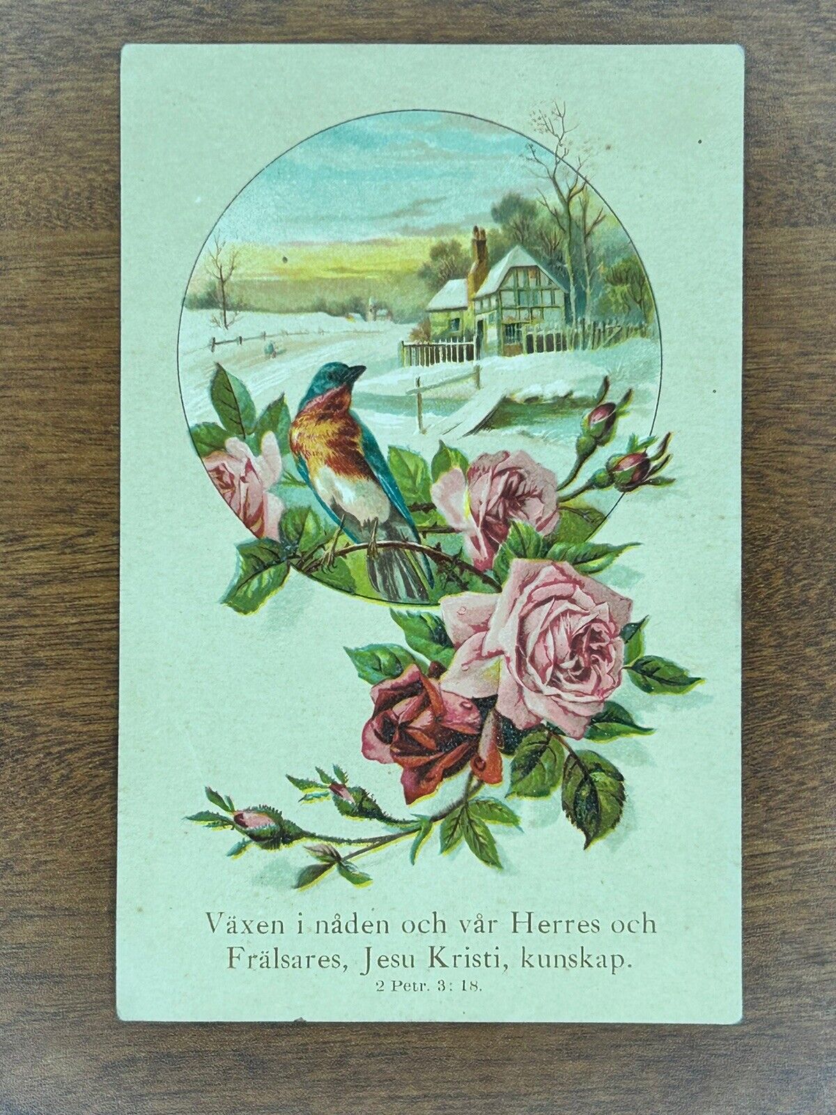 Antique Postcard in Swedish Early 1900\'s Floral Countryside 2 Peter 3:18