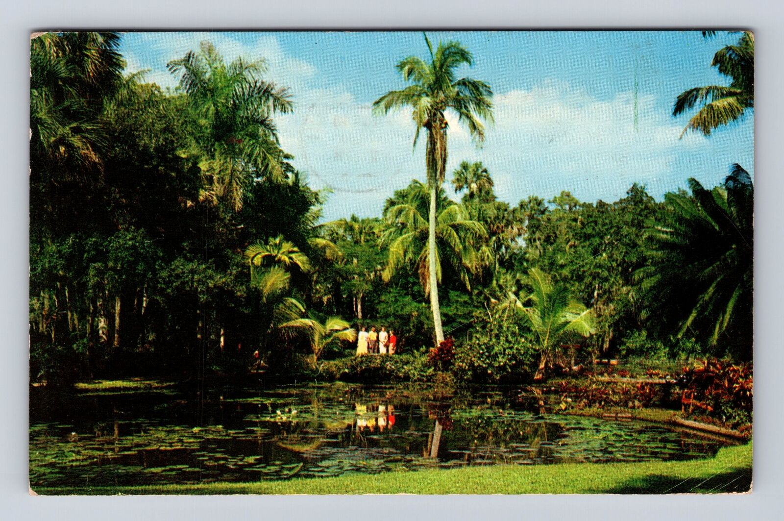 Vero Beach FL-Florida, McKee Jungle Gardens, Lagoon, Vintage c1961 Postcard