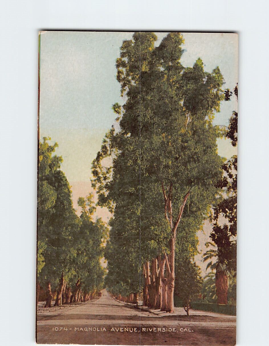 Postcard Magnolia Avenue Riverside California USA