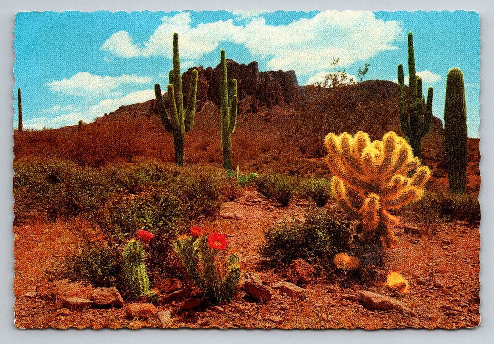 The Colorful Desert Arizona Vintage Unposted Petley Postcard
