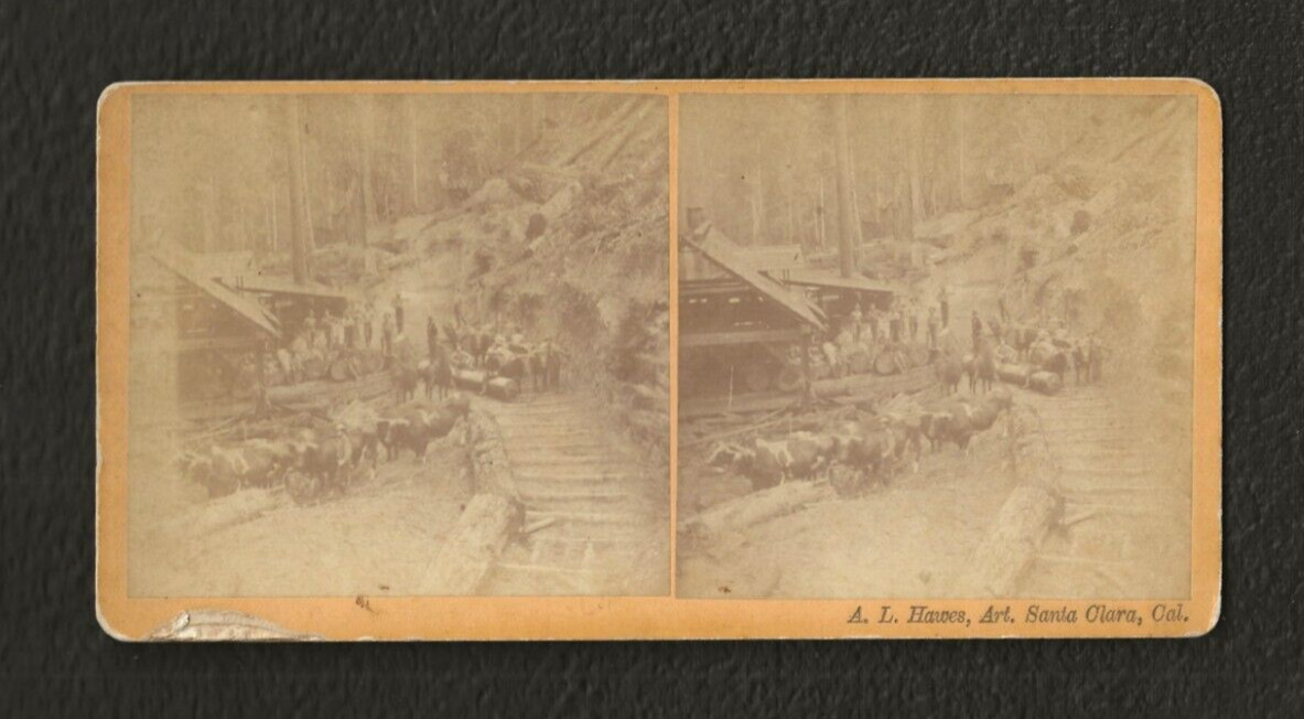 Antique Stereoviews (3) A.L. Hawes. Santa Clara, Cal. Logging Scenes