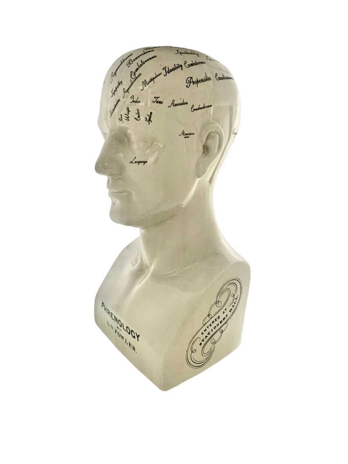 Bust Porcelain L.N. Fowler Phrenology Scientific Psychology Large Head