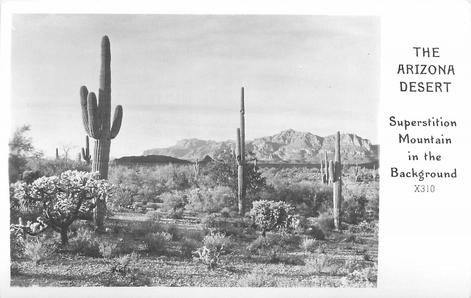 Postcard RPPC Arizona Superstition Mountains X310 Lollesgard 23-2887