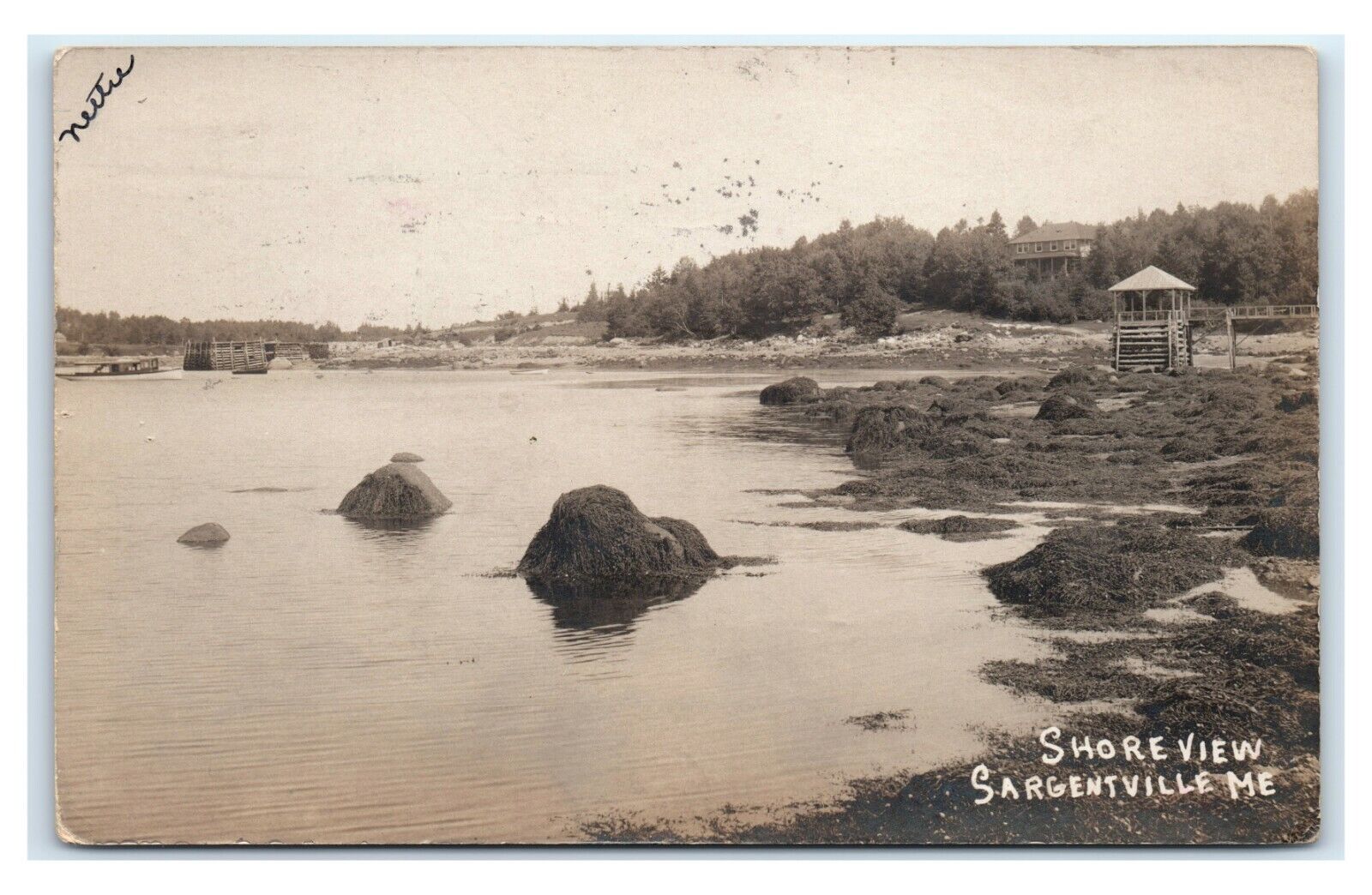 Postcard Shore View Sargentville ME Maine 1906 RPPC F1