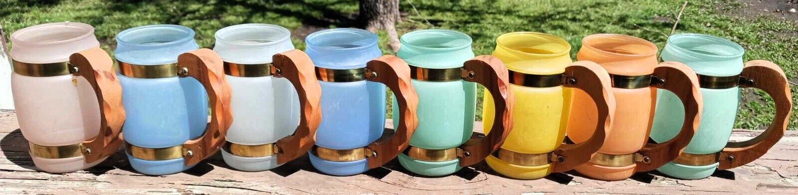 Vintage Siesta Ware Wood Handle Frosted Mugs - Set of 8