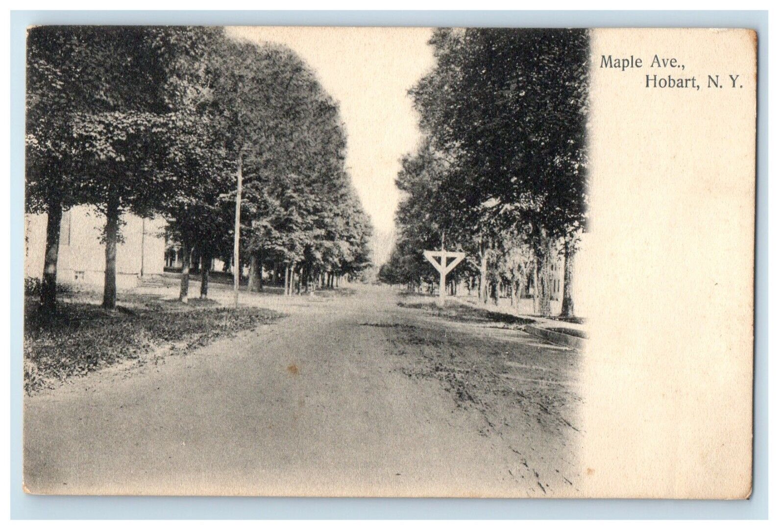 1909 Maple Avenue Hobart New York NY Roxbury NY CE Hanford Postcard