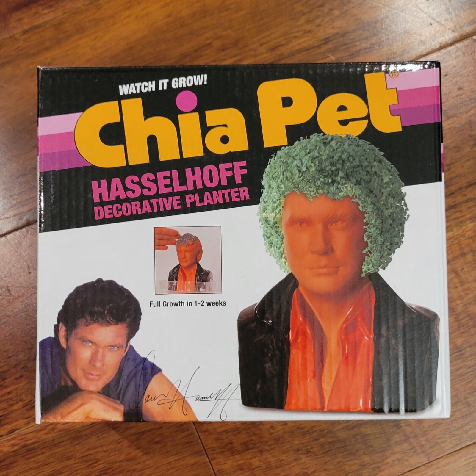 David Hasselhoff Chia Pet Plant Bust Baywatch Night Rider The Hoff New In Box