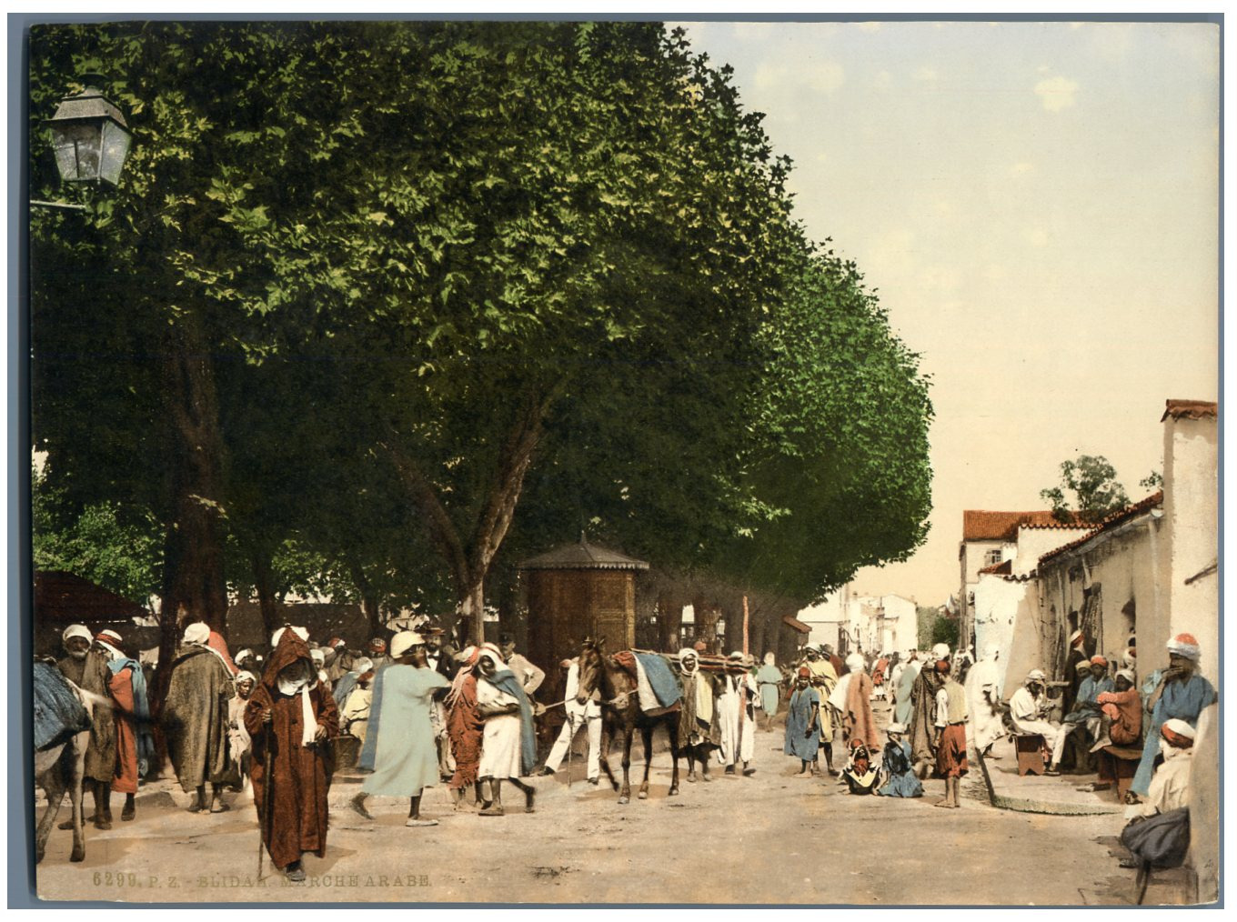 Blidah. Arab Market. Vintage Photochromy PZ, Algeria Photochromy, Vintage P