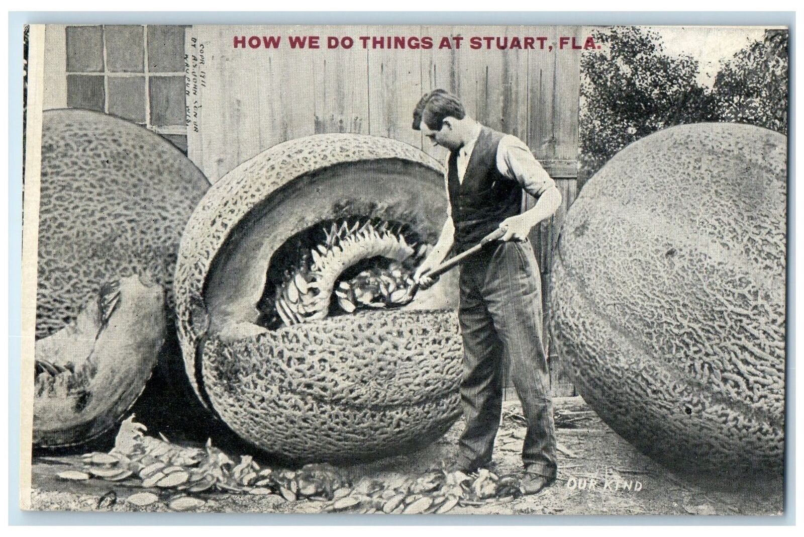 c1910s How We Do Things At Stuart Exaggerated Scene Florida FL Unposted Postcard