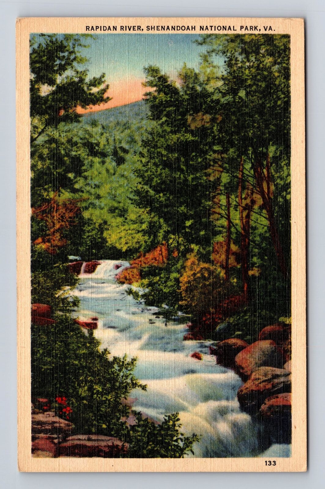 Shenandoah National Park, Rapidan River, Antique, Vintage Souvenir Postcard